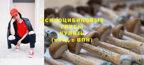 бошки Мегион