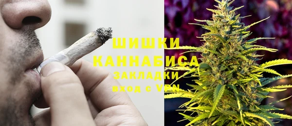 spice Медногорск