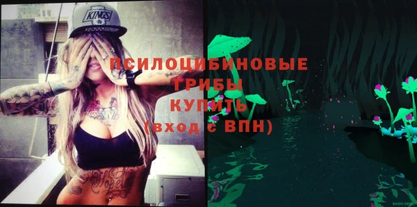 spice Медногорск