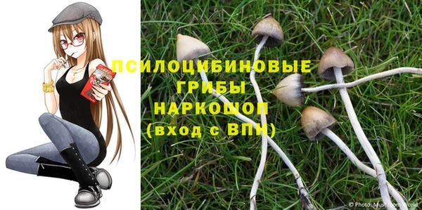 мяу мяу кристалл Михайлов