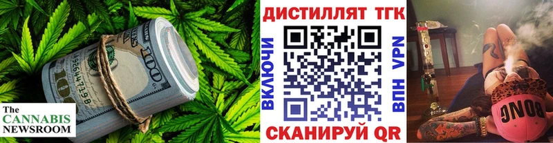 закладки  Талдом  ТГК концентрат 