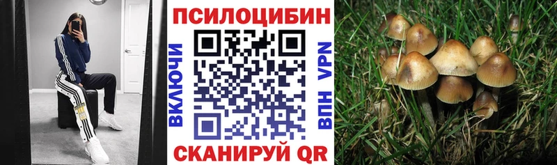 Псилоцибиновые грибы прущие грибы  купить наркотики цена  Талдом 